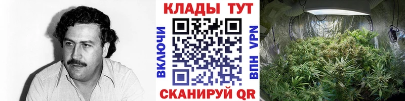 Где найти наркотики Обнинск COCAIN Галлюциногенные грибы Бошки Шишки Гашиш