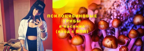 стаф Волоколамск