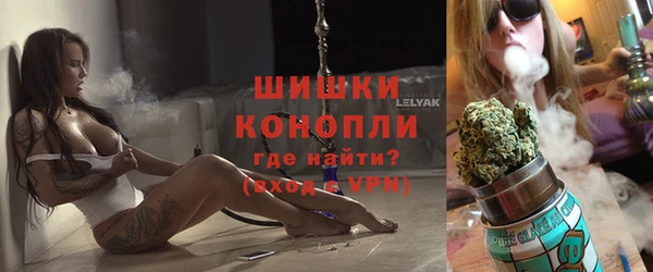 стаф Волоколамск
