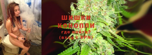 стаф Волоколамск