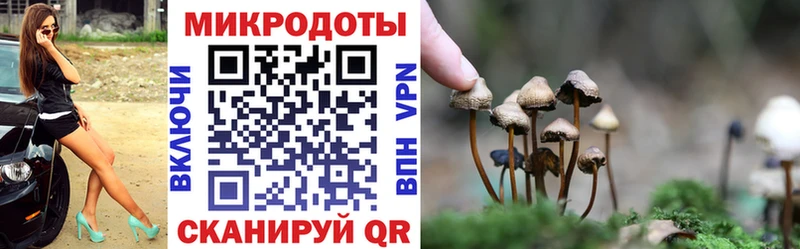 hydra зеркало  Обнинск  Галлюциногенные грибы прущие грибы 